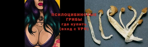 ПСИЛОЦИБИНОВЫЕ ГРИБЫ Балабаново
