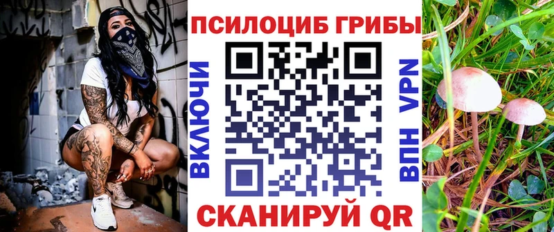 Галлюциногенные грибы Psilocybine cubensis  мега рабочий сайт  Корсаков 