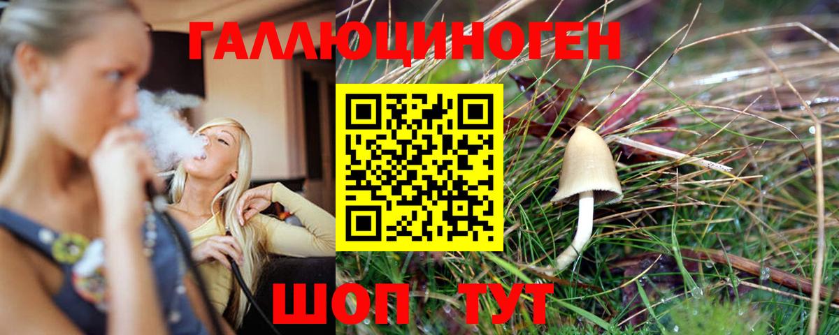 Псилоцибиновые грибы мицелий  Вход с VPN  Корсаков 