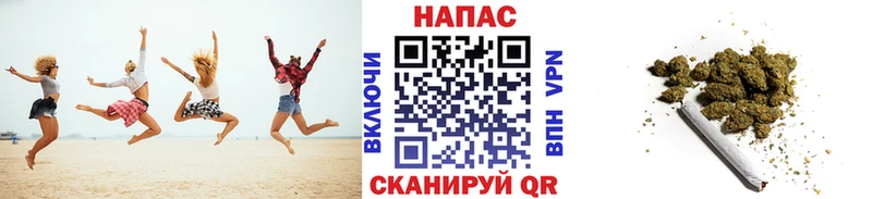 Бошки Шишки MAZAR  Корсаков 